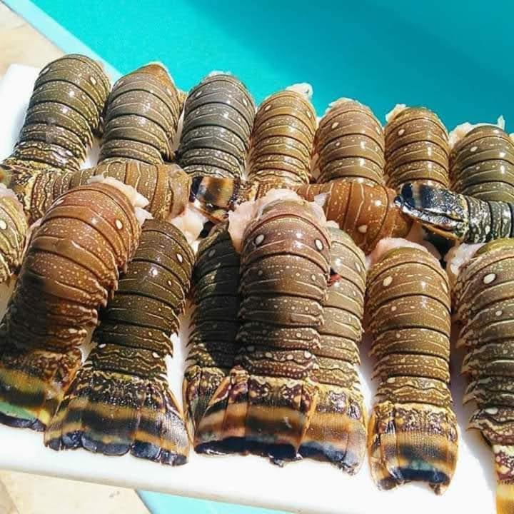Pousada A Vida E Bela Águas Belas Zewnętrze zdjęcie